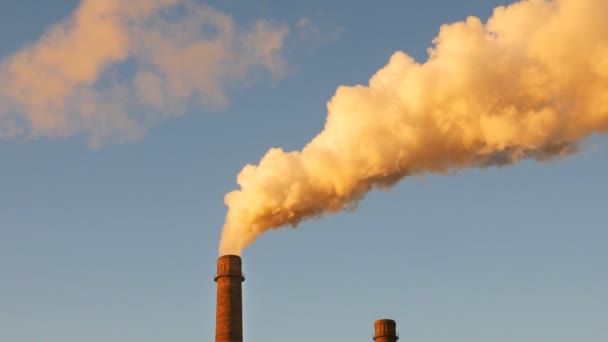Usine usine pile de fumée sur fond de ciel bleu — Video