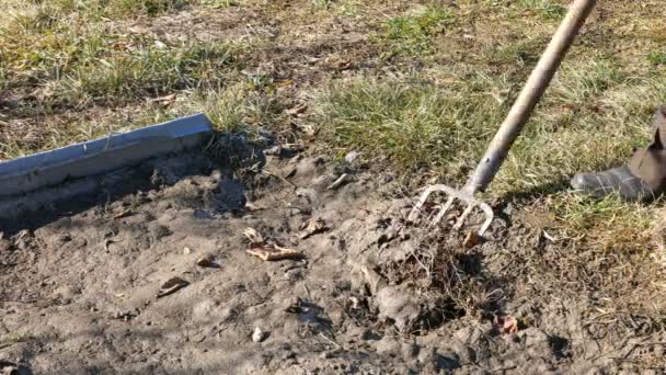 Creuser la terre de printemps dans le jardin avec une fourche — Video