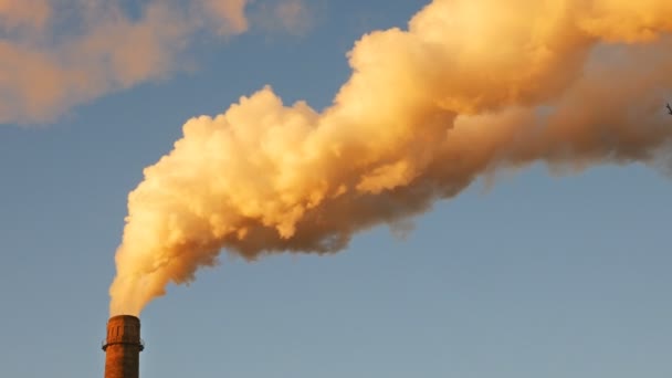 Usine usine pile de fumée sur fond de ciel bleu — Video