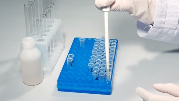 ラボの技術者の科学者は化学分析 — ストック動画