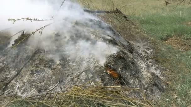Brinnande gräset bladverk heap med tunga tät rök — Stockvideo