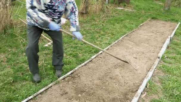 Senior oudere man ploegen plows moestuin — Stockvideo