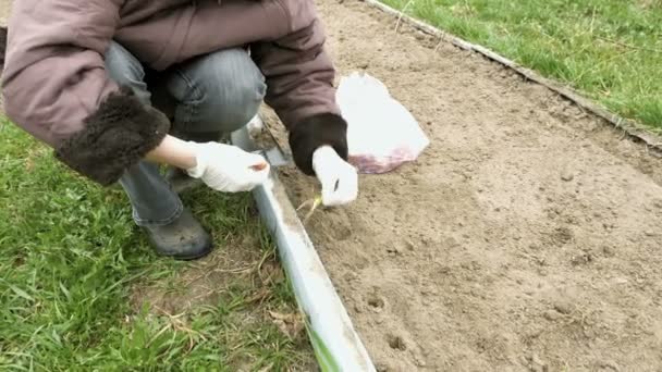 País menina plantas e sementes cama horta — Vídeo de Stock