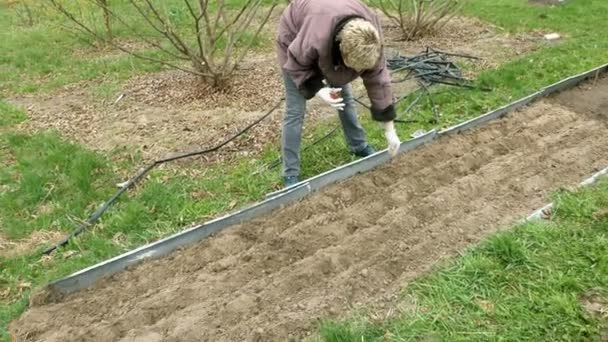 País menina plantas e sementes cama horta — Vídeo de Stock