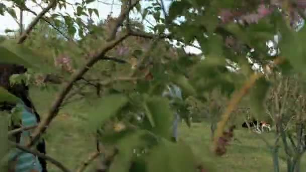 Dos chicas oliendo flores lila en el parque verde — Vídeos de Stock