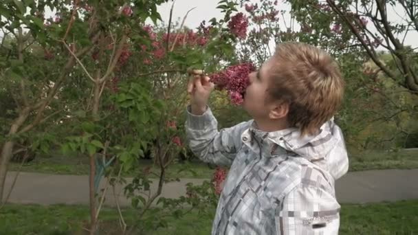 Ładny blond dziewczynka wąchanie kwiatów bzu w parku — Wideo stockowe