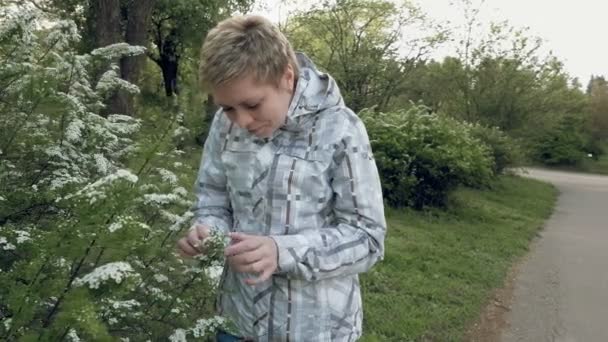 Menina loira bonita olha para flores em um parque verde — Vídeo de Stock