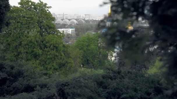 Wit blauw en goud orthodoxe kerk in bomen — Stockvideo