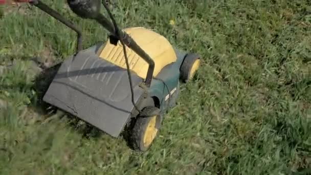 Falciare l'erba in giardino con macchina elettrica — Video Stock