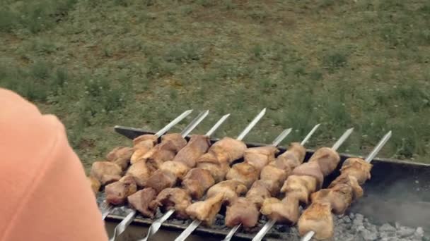 Espetos de churrasco com carne cozinhando no braseiro — Vídeo de Stock