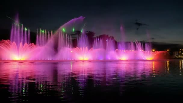 Fontaine lumineuse colorée avec belle réflexion — Video