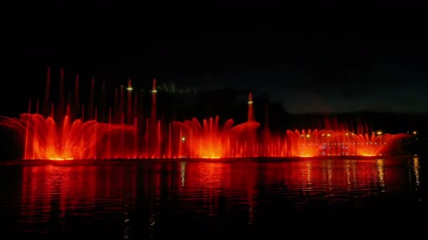Colorful bright fountain with beautiful reflection — Stock Video