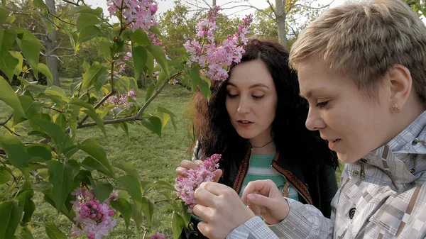 Två flickor sniffning lila blommor i den gröna parken — Stockfoto
