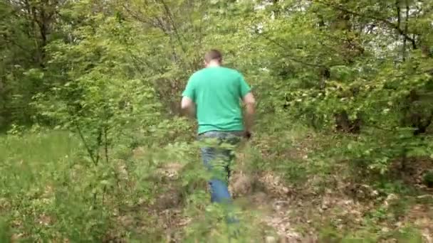 Homem caminha e observa floresta de verão e árvores — Vídeo de Stock