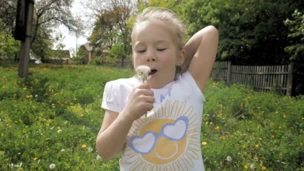 Sonriente niña sopla fuera diente de león y se ríe — Vídeo de stock