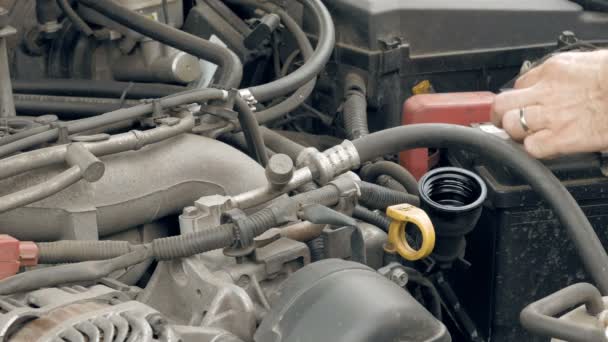 Auto mecánico vierte aceite de motor adicional — Vídeo de stock