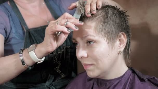 Hairdresser cuts combs and styles womans hair — Stock Video