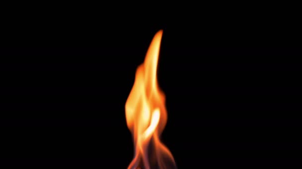 Natürliche brennende Feuerflamme auf schwarzem Hintergrund — Stockvideo