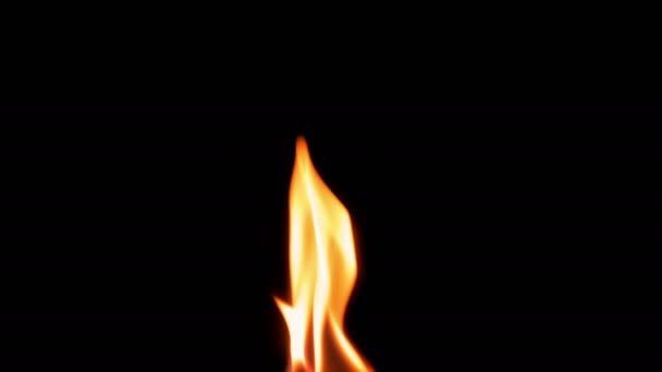 Φυσικό καίγοντας φλόγα φωτιά επάνω σε μαύρο υπόβαθρο — Αρχείο Βίντεο