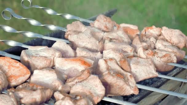 Brochetas de barbacoa con carne cocinada en la parrilla — Vídeos de Stock