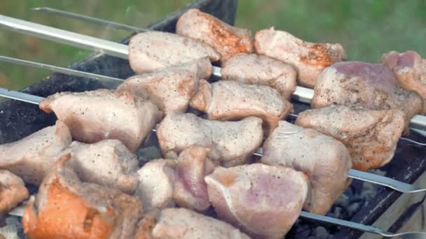 Brochetas de barbacoa con carne cocinada en la parrilla — Vídeos de Stock