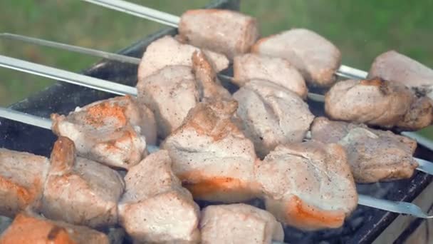 Brochetas de barbacoa con carne cocinada en la parrilla — Vídeos de Stock