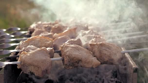 Broches de barbecue avec cuisson de la viande sur le gril — Video