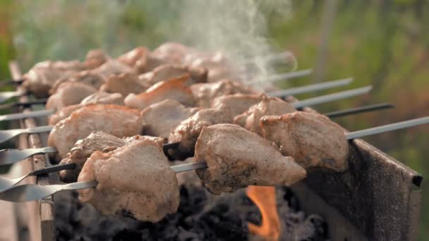 Broches de barbecue avec cuisson de la viande sur le gril — Video