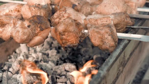 Espetos de churrasco com carne cozinhando na grelha — Vídeo de Stock