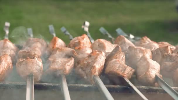 Espetos de churrasco com carne cozinhando na grelha — Vídeo de Stock