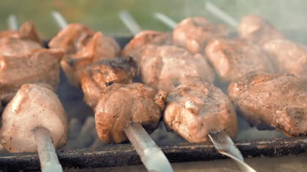 Barbecue skewers with meat cooking on the grill — Stock Video