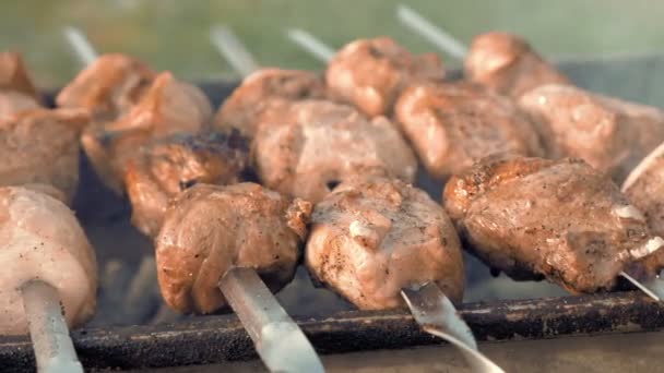 Espetos de churrasco com carne cozinhando na grelha — Vídeo de Stock