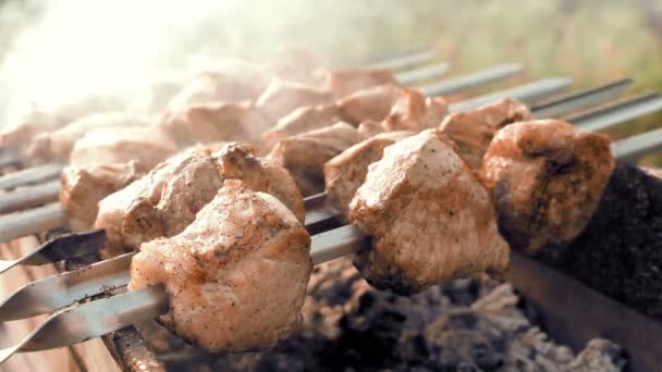 Brochetas de barbacoa con carne cocinada en la parrilla — Vídeos de Stock