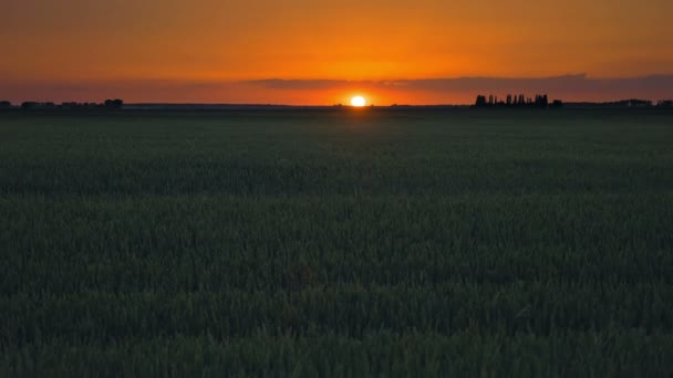 雲と自然芝生フィールドに沈む夕日 — ストック動画