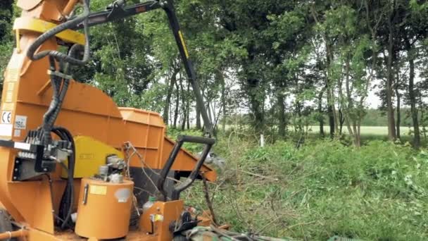 Una garra excavadora recogiendo las ramas cortadas — Vídeos de Stock