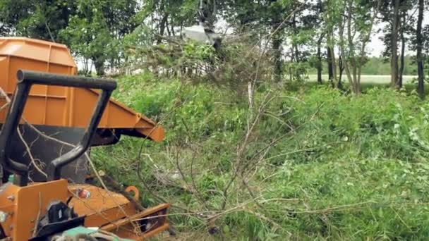 Una garra excavadora recogiendo las ramas cortadas — Vídeo de stock