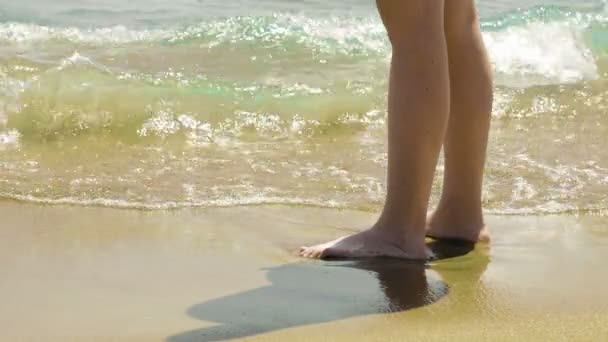 女性が濡れた砂やビーチで波の上に立つ — ストック動画