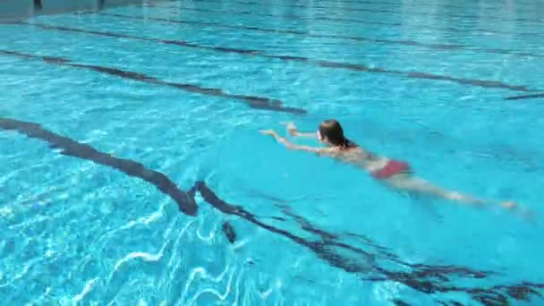 女性は明るい夏の日のプールで泳いでください。 — ストック動画