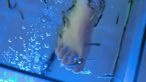 Una signora è in una spa a farsi una pedicure di pesce — Video Stock