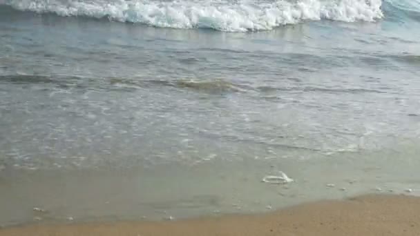 Krachende Wellen am Strand ist die entspannteste Aussicht — Stockvideo