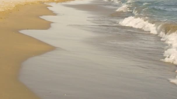 Crashing waves on beach is the most relaxing view — Stock Video