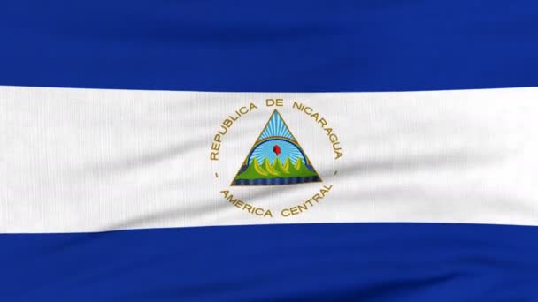 Bandeira nacional da Nicarágua voando ao vento — Vídeo de Stock