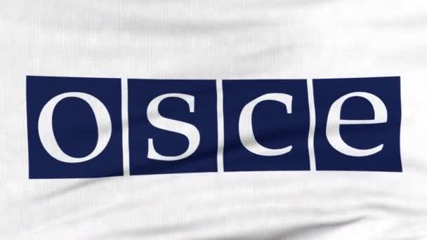 風に乗って飛んでいる Osce の国際旗 — ストック動画