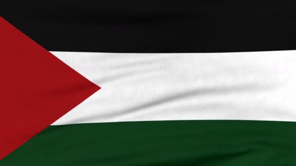 Nationalflagge aus Palestin weht im Wind — Stockvideo