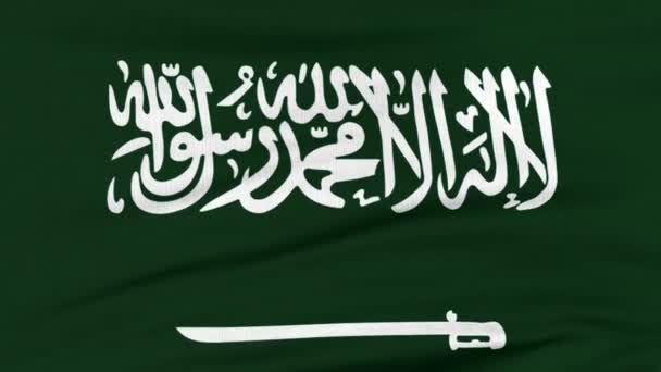Εθνική σημαία της Σαουδικής Αραβίας που πετάει στον άνεμο — Αρχείο Βίντεο