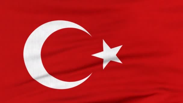 National flag of Turkey flying on the wind — Stock Video