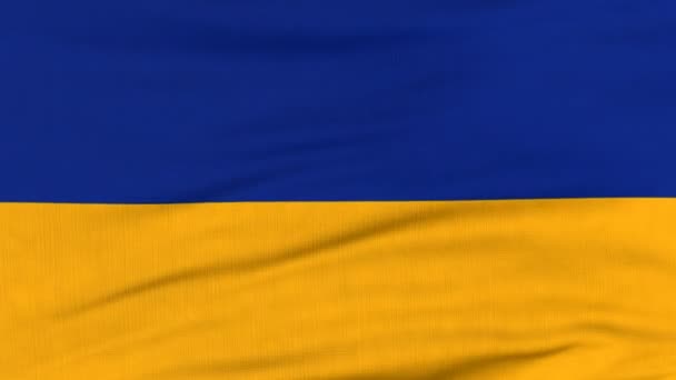 Drapeau national de l'Ukraine flottant au vent — Video