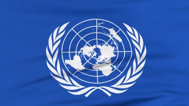 Bandera internacional de la ONU ondeando en el viento — Vídeos de Stock