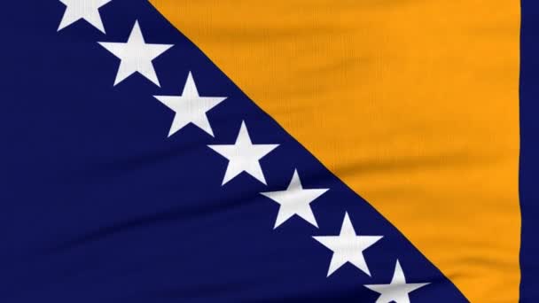 National flag of BiH flying on the wind — Stock Video