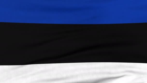 Флаг Эстонии, развевающийся на ветру — стоковое видео